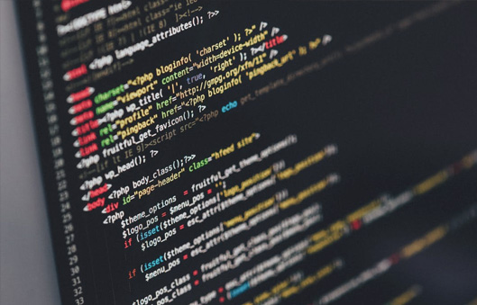 Network Security Testing Network Penetration Testing